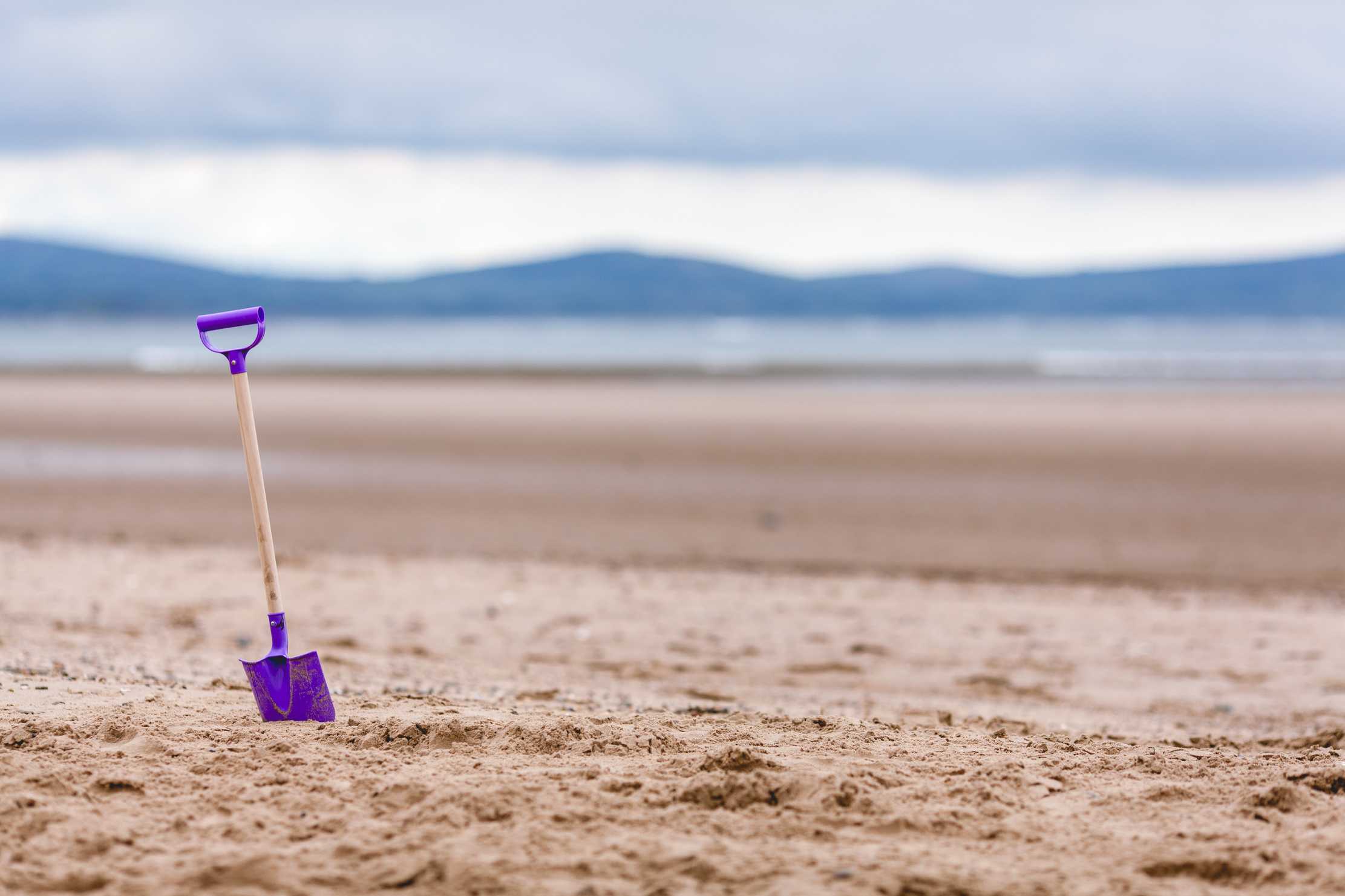 Purple Shovel on Sand Bottom Focus Camera